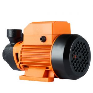 Acquaer XKm70-1 Peripheral Pump