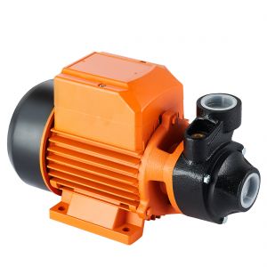 Acquaer XKm80-1 Peripheral Pump